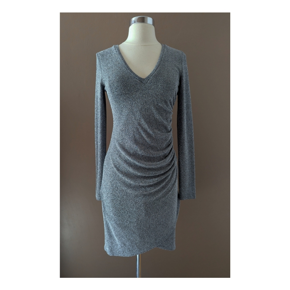 NWT Fifteen Twenty Long Sleeve Side Chirred Dress